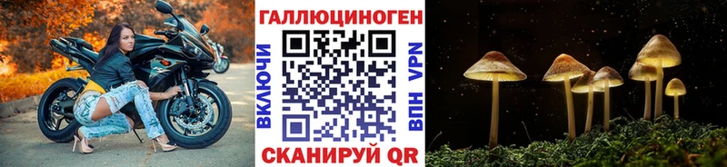 mega как зайти  Сретенск  Псилоцибиновые грибы мицелий 
